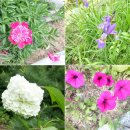 청계사 경내 이미지