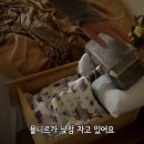 묘묘 이미지