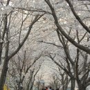 오랍드리산소길 이미지