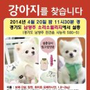 몽슈슈 강아지 이미지