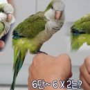 버드리농장 이미지