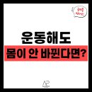 운동하는데 | [주안 헬스장] 운동하는데 몸이 안 변하는 이유