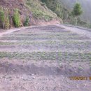 토토농장 이미지