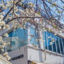 카페꾸머 이미지