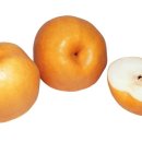 수현농원 이미지