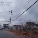 녹지공인중개사사무소 이미지