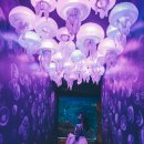 월드씨암 | 방콕 아이와 가볼만한곳 추천! 씨암 파라곤 SEA LIFE Bangkok Ocean World 완벽 가이드