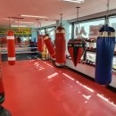 변교선 대전복싱클럽 이미지