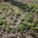 용권농장 이미지