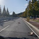 대천윤활유 이미지