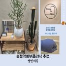 송정역 2번출구 | 송정역피부클리닉 추천 영인피부 꼼꼼한 1:1맞춤관리 근본적인 피부 개선 목표