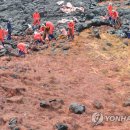 [카메라뉴스] 제주는 지금 밀려드는 괭생이모자반과의 '전쟁중' 이미지