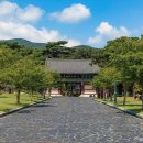 영천 보성리 암각화 이미지