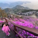대금산진달래길(등산) 이미지