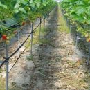 선들농장 이미지