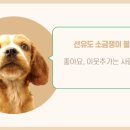 양평동 동보@ 내 이미지