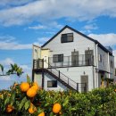 드림농원 민박 이미지