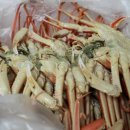 영덕대게 이미지