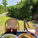 (구)소아르 미술관 | 화순 브런치카페 야외 애견동반 아기랑 가기 좋은 셀레브