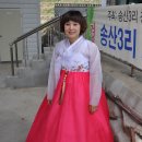 송산3리 Daum카페