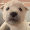 현농장2호 | [시식 세미나 제4강] 아베베 베이커리 서울 ⎪민생지원금 사용 가능