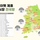 보람스카이 이미지
