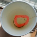 상계초교 이미지