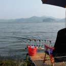 고금4호 Daum카페