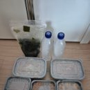 하루밥상 | 워킹맘의 든든한 선택, 부천반찬배달 하루밥상 부천점 이용후기