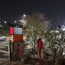 빨간우체통 - 남구 앞산순환로 393 | [대구 벚꽃 카페] - 빨간우체통