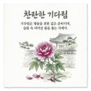 [시와 삶] 모란이 피기까지는 _ 김영랑 이미지