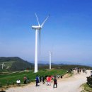 입석목장 이미지