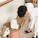 랙돌카페냐옹 이미지