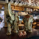 인드라 | [세종]인도요리 맛집 다이닝더인드라 2인세트 내돈내산 솔직 후기