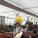 기쁨이네농장 이미지