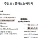 (주)티그린 이미지