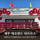 탈로 제주 | 제주 에코랜드 테마파크 아기랑 기차탈 수 있는 곳
