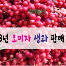 해솔농장 이미지