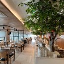 오션갤리(Ocean Galley)