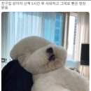 산책 이미지