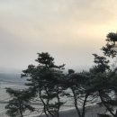 C무인텔