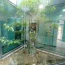 서희학교 이미지