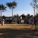 달음산자연휴양림 Daum카페