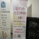엘리스스킨케어 | 성남 위례 에스테틱 추천! 위례 등관리 전문 엘리스스킨케어 목어깨등집중관리 후기