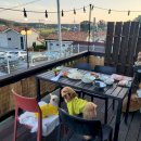 스타펜션 이미지