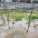 여수동초등학교 이미지