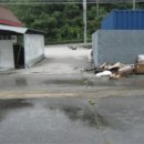 안내보은로 이미지