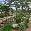 [충청북도 제천시] 용두산오토캠핑장