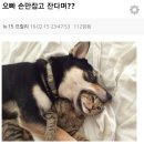 바바 이미지