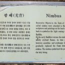 옛돌박물관 티스토리